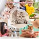 Euqvunn Cat Claw Scissors, Professional Cat Nail Scissors with Positioning Hole, Cat Claw Cutter for Kittens, Rabbits, Guinea Pigs, Birds, Puppies and Small Animals (Grey) Euqvunn Cat Claw Scissors, Professional Cat Nail Scissors with Positioning Hole, Cat Claw Cutter for Kittens, Rabbits, Guinea Pigs, Birds, Puppies and Small Animals (Grey)