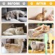 Flea Comb for Cats, 2 Pieces Self-Cleaning Flea Comb for Cat and Dog, Self-Cleaning Cat Comb, Pet Hair Removal, Flea Comb, Grooming Brush Flea Comb for Cats, 2 Pieces Self-Cleaning Flea Comb for Cat and Dog, Self-Cleaning Cat Comb, Pet Hair Removal, Flea Comb, Grooming Brush