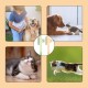 Flea Comb for Cats, Pack of 2 Professional Grooming Cat Brushes with Release Button, Multifunctional Dog Comb, for Long-Haired and Short-Haired Animals, 200 x 80 x 20 mm Flea Comb for Cats, Pack of 2 Professional Grooming Cat Brushes with Release Button, Multifunctional Dog Comb, for Long-Haired and Short-Haired Animals, 200 x 80 x 20 mm
