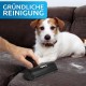 FusselZz® Home Premium Lint Roller Black Pet Hair - Self-Cleaning Pet Hair Remover for Cat Hair & Dog Hair Removal, Reusable Cat Hair Remover on Sofa, Carpet & Bed FusselZz® Home Premium Lint Roller Black Pet Hair - Self-Cleaning Pet Hair Remover for Cat Hair & Dog Hair Removal, Reusable Cat Hair Remover on Sofa, Carpet & Bed