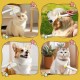 Katzenkamm, 360° Drehbar Katzen Kamm Flohkamm Hunde Katzen mit Entriegelungsknopf Selbstreinigender Flohkamm und Fellpflegebürste für Haustiere Katzenkamm, 360° Drehbar Katzen Kamm Flohkamm Hunde Katzen mit Entriegelungsknopf Selbstreinigender Flohkamm und Fellpflegebürste für Haustiere