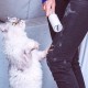 Lint Roller for Pet Hair, 540 Sheets, Extra Sticky Portable Lint Remover, Lint Roller Clothes, Remover Cats Dog Hair, Lint Roller Pet Hair Lint Roller for Pet Hair, 540 Sheets, Extra Sticky Portable Lint Remover, Lint Roller Clothes, Remover Cats Dog Hair, Lint Roller Pet Hair