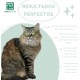 MENFORSAN Aloe Vera Foam Shampoo for Cats 200 ml MENFORSAN Aloe Vera Foam Shampoo for Cats 200 ml