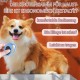 May Huang Cat Detangling Knife, Pack of 4 Knot Comb Hair Removal Tool, Multifunctional Hair Removal Comb, Portable Pet Comb, Dematting Comb for Undercoat & Tangles May Huang Cat Detangling Knife, Pack of 4 Knot Comb Hair Removal Tool, Multifunctional Hair Removal Comb, Portable Pet Comb, Dematting Comb for Undercoat & Tangles