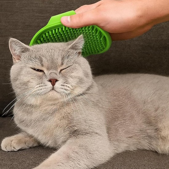 MigWoo Pack of 2 Fellblitz Brush, Self-Cleaning Cat Comb for Pets, Cat Brush with Release Button, with Bath Brush, Rubber Curry and Storage Bag, Cleaning Loose Hair MigWoo Pack of 2 Fellblitz Brush, Self-Cleaning Cat Comb for Pets, Cat Brush with Release Button, with Bath Brush, Rubber Curry and Storage Bag, Cleaning Loose Hair