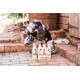 Mikki 6300232 Moulting Dog Grooming Shampoo, 250 ml
