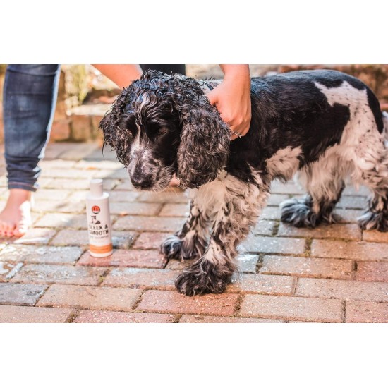 Mikki 6300232 Moulting Dog Grooming Shampoo, 250 ml Mikki 6300232 Moulting Dog Grooming Shampoo, 250 ml