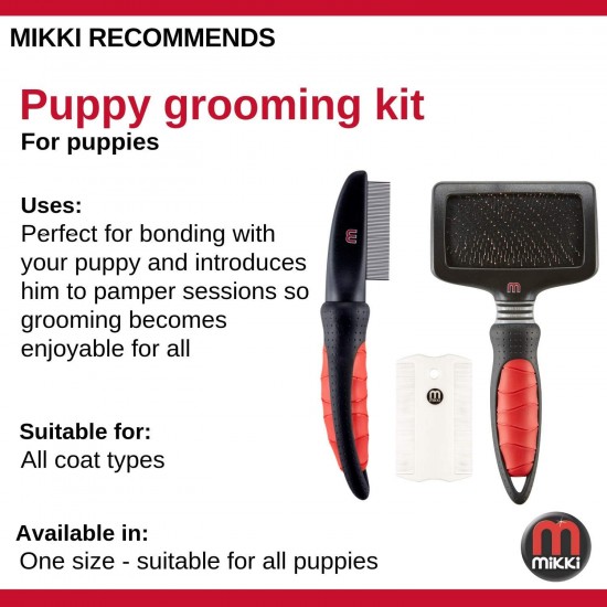 Mikki Kitten Grooming Kit Mikki Kitten Grooming Kit