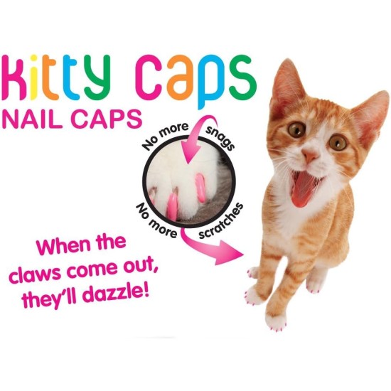 Nail Caps - Clear Color - Small (40ct) Nail Caps - Clear Color - Small (40ct)