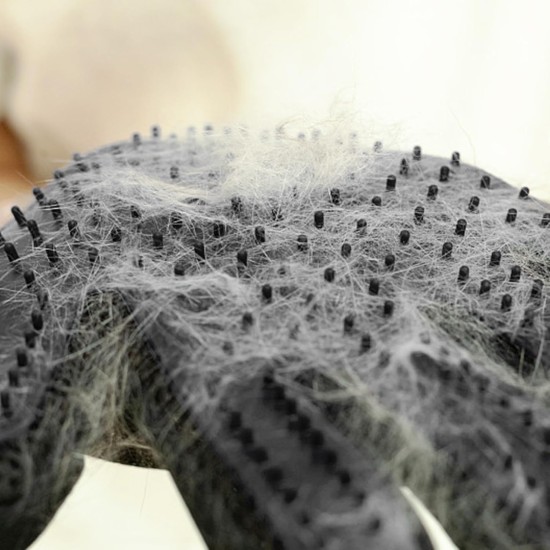 Pack of 1 cat glove, cat brush glove, cat gloves, grooming glove, cat grooming glove, for dogs, cats, short hair, long hair (right hand) Pack of 1 cat glove, cat brush glove, cat gloves, grooming glove, cat grooming glove, for dogs, cats, short hair, long hair (right hand)