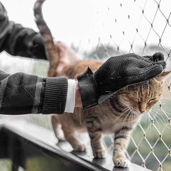 Pack of 1 cat glove, cat brush glove, cat gloves, grooming glove, cat grooming glove, for dogs, cats, short hair, long hair (right hand) Pack of 1 cat glove, cat brush glove, cat gloves, grooming glove, cat grooming glove, for dogs, cats, short hair, long hair (right hand)