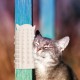 Pack of 2 Cat Brush, 2-in-1 Self-Cleaning Cat Brush Cat Hair Removal Gloves Brush Cat Hair Brush for Cats with Short or Long Hair