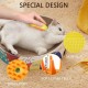 Pack of 2 Cat Brush with Steam 3 in 1 Cat Brush with Steam Steamy Brush Cat with Water Cat Steam Brush Multifunctional Dog Steam Brush for Cats and Dogs for Hair Removal Pack of 2 Cat Brush with Steam 3 in 1 Cat Brush with Steam Steamy Brush Cat with Water Cat Steam Brush Multifunctional Dog Steam Brush for Cats and Dogs for Hair Removal