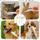 Pack of 2 Fellblitz Cat Brush for Pets, with 2 Flea Combs, Cat Comb for Cats and Dogs, Ideal for Short-Haired and Longhaired Pets, Made of PP Plastic and Stainless Steel Pack of 2 Fellblitz Cat Brush for Pets, with 2 Flea Combs, Cat Comb for Cats and Dogs, Ideal for Short-Haired and Longhaired Pets, Made of PP Plastic and Stainless Steel