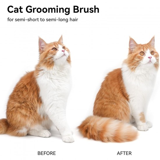 Pack of 2 Fellblitz Cat Brush with Release Button, Self-Cleaning Flea Comb for Cats and Dogs, Self-Cleaning Cat Comb, Self-Cleaning Flea Comb for Pets Pack of 2 Fellblitz Cat Brush with Release Button, Self-Cleaning Flea Comb for Cats and Dogs, Self-Cleaning Cat Comb, Self-Cleaning Flea Comb for Pets