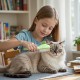 Pack of 2 Flea Combs for Cats, 2025 Fur Flash Brush, Self-Cleaning Comb with Release Button, Self-Cleaning Cat Comb, Suitable for Long and Short Hair, Removes Knots and Loose Hair Pack of 2 Flea Combs for Cats, 2025 Fur Flash Brush, Self-Cleaning Comb with Release Button, Self-Cleaning Cat Comb, Suitable for Long and Short Hair, Removes Knots and Loose Hair