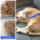 Pack of 4 Flea Combs for Cats, Flea Comb for Cats and Dogs (Blue), Flea Comb Dogs, Flea Comb, Metal Flea Comb, Cats for Dogs and Cats, Effective Against Fleas and Lice Professional Flea Comb