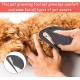 Pack of 5 Cat Detangling Knotting Comb, Detangler with Steel Blade, Cat Long Hair, Knot Remover Cat, Knot Comb for Cats, for Removes Tangles and Hair Loss Pack of 5 Cat Detangling Knotting Comb, Detangler with Steel Blade, Cat Long Hair, Knot Remover Cat, Knot Comb for Cats, for Removes Tangles and Hair Loss