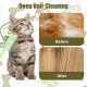 Pet Hair Removal Comb, Flea Comb, Cat Hair Brush with Release Button, Hair Removal Brush for Short and Long Haired Dogs, Cleaning Loose Knotted Fur (Green) Pet Hair Removal Comb, Flea Comb, Cat Hair Brush with Release Button, Hair Removal Brush for Short and Long Haired Dogs, Cleaning Loose Knotted Fur (Green)