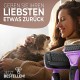 Pretty Paw ® Professional Cat Brush Set, Cat Care Set, 100% Hygiene & Comfort Thanks to Rounded Massage Bristles, Brush for Optimal Short and Long Hair, Undercoat Brush