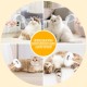 RCIDOS Steamy Cat Brush with Steam, Multifunctional Cat Spray Massage Comb, Steamy Cat Brush, Eliminate Flying Hair with One Button for Cats and Dogs (Pink) RCIDOS Steamy Cat Brush with Steam, Multifunctional Cat Spray Massage Comb, Steamy Cat Brush, Eliminate Flying Hair with One Button for Cats and Dogs (Pink)