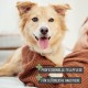 ReaVET 2-in-1 Fur Comb for Dogs and Cats with Medium to Long Hair, Double Comb, Ideal for Loosening Knots & Tangles, Dog, Cat, Dog Comb, Cat Comb for Daily Grooming ReaVET 2-in-1 Fur Comb for Dogs and Cats with Medium to Long Hair, Double Comb, Ideal for Loosening Knots & Tangles, Dog, Cat, Dog Comb, Cat Comb for Daily Grooming