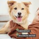 ReaVET 2-in-1 Fur Comb for Dogs and Cats with Medium to Long Hair, Double Comb, Ideal for Loosening Knots & Tangles, Dog, Cat, Dog Comb, Cat Comb for Daily Grooming ReaVET 2-in-1 Fur Comb for Dogs and Cats with Medium to Long Hair, Double Comb, Ideal for Loosening Knots & Tangles, Dog, Cat, Dog Comb, Cat Comb for Daily Grooming