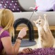 Relaxdays Cat Scratching Arch, Includes 2x Catnip, Cat Brush for All Hairs, Black Relaxdays Cat Scratching Arch, Includes 2x Catnip, Cat Brush for All Hairs, Black