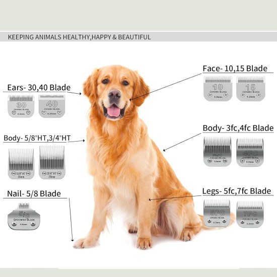 Removable Blades for Dog Grooming with 5/8 Wide Toe, Compatible with Heiniger/Moser Max45/Andis/Oster A5 Clippers, Cutting Length 1/32 Inch Removable Blades for Dog Grooming with 5/8 Wide Toe, Compatible with Heiniger/Moser Max45/Andis/Oster A5 Clippers, Cutting Length 1/32 Inch