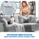 Set Dampfbürste für Katzen und Haarentferner, Bürste für Katzen und Hunde mit Dampf, Haarentfernungsbürste für Haustiere, Dampfbürste für Haustiere, Haarbürste, Haustierbürste Set Dampfbürste für Katzen und Haarentferner, Bürste für Katzen und Hunde mit Dampf, Haarentfernungsbürste für Haustiere, Dampfbürste für Haustiere, Haarbürste, Haustierbürste