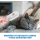 Set Dampfbürste für Katzen und Haarentferner, Bürste für Katzen und Hunde mit Dampf, Haarentfernungsbürste für Haustiere, Dampfbürste für Haustiere, Haarbürste, Haustierbürste Set Dampfbürste für Katzen und Haarentferner, Bürste für Katzen und Hunde mit Dampf, Haarentfernungsbürste für Haustiere, Dampfbürste für Haustiere, Haarbürste, Haustierbürste