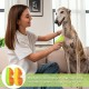 Steamy Cat Brush, 3-in-1 Cat Brush with Steam, Pet Brush, Self Cleaning Steamy Cat Brush, Self-Cleaning Steaming Cat Brush, Steam Brush, Cat Brush, for Cats, Dogs, Massage (B) Steamy Cat Brush, 3-in-1 Cat Brush with Steam, Pet Brush, Self Cleaning Steamy Cat Brush, Self-Cleaning Steaming Cat Brush, Steam Brush, Cat Brush, for Cats, Dogs, Massage (B)