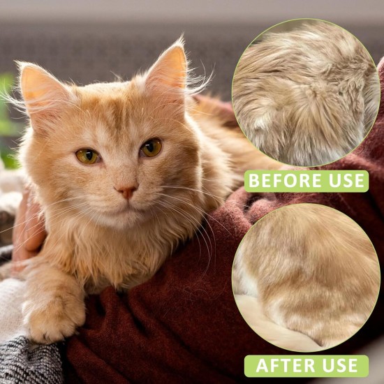 Steamy Cat Brush, 3-in-1 Cat Brush with Steam, Pet Brush, Self Cleaning Steamy Cat Brush, Self-Cleaning Steaming Cat Brush, Steam Brush, Cat Brush, for Cats, Dogs, Massage (B) Steamy Cat Brush, 3-in-1 Cat Brush with Steam, Pet Brush, Self Cleaning Steamy Cat Brush, Self-Cleaning Steaming Cat Brush, Steam Brush, Cat Brush, for Cats, Dogs, Massage (B)