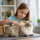 YAOZUP Cat Comb with Self-Cleaning Function, Stainless Steel Flea Comb for Dogs and Cats, Extra Long/Short Teeth for All Fur Types, Detangles Knots & Removes Fleas Gently (Green) YAOZUP Cat Comb with Self-Cleaning Function, Stainless Steel Flea Comb for Dogs and Cats, Extra Long/Short Teeth for All Fur Types, Detangles Knots & Removes Fleas Gently (Green)