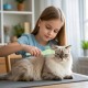 YAOZUP Cat Comb with Self-Cleaning Function, Stainless Steel Flea Comb for Dogs and Cats, Extra Long/Short Teeth for All Fur Types, Detangles Knots & Removes Fleas Gently (Green) YAOZUP Cat Comb with Self-Cleaning Function, Stainless Steel Flea Comb for Dogs and Cats, Extra Long/Short Teeth for All Fur Types, Detangles Knots & Removes Fleas Gently (Green)