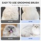 aumuca Cat Brush for Long or Short Haired Cats, Hair Brush for Shedding Cat Comb for Pets Removing Loose Fur and Massage, Blue aumuca Cat Brush for Long or Short Haired Cats, Hair Brush for Shedding Cat Comb for Pets Removing Loose Fur and Massage, Blue