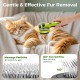 pecute Cat Brush with Steam, Multifunctional Cat Steamy Brush, Cat Brush with Spray Roße Capacity Water Tank, Steam Brush Cat Massage Comb for Long Hair Dogs Cats, Cool Mist Only (Green) pecute Cat Brush with Steam, Multifunctional Cat Steamy Brush, Cat Brush with Spray Roße Capacity Water Tank, Steam Brush Cat Massage Comb for Long Hair Dogs Cats, Cool Mist Only (Green)