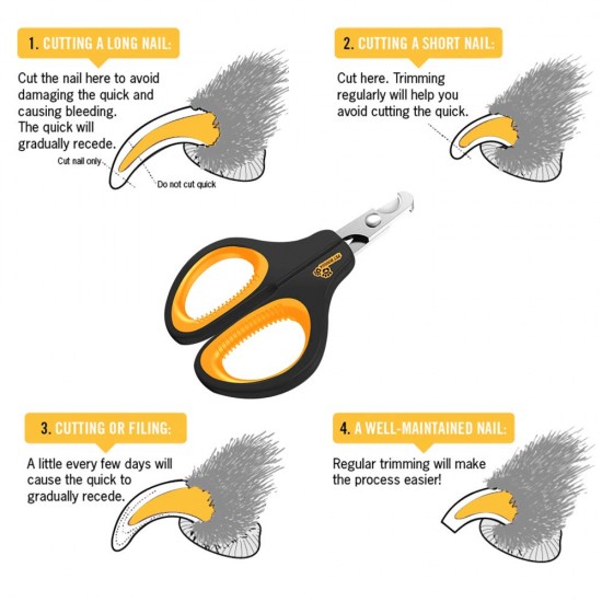 pet boussa Nail Clippers and Trimmers for Small Dog Breeds Cat Kitten Hamster Puppy Ferret Hedgehog Rabbit Bird Professional Cat Nail Cutter and Nail Clippers for Cats pet boussa Nail Clippers and Trimmers for Small Dog Breeds Cat Kitten Hamster Puppy Ferret Hedgehog Rabbit Bird Professional Cat Nail Cutter and Nail Clippers for Cats