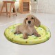 Φ100cm Sensorische Wassermatte Katze,Wassermatte Für Katzen Im Sommer,Wassersensorische Spielmatte,Verdickte 55 Seide Spielwasser-Sensormatte Für Kleine Hunde Und Katzen Φ100cm Sensorische Wassermatte Katze,Wassermatte Für Katzen Im Sommer,Wassersensorische Spielmatte,Verdickte 55 Seide Spielwasser-Sensormatte Für Kleine Hunde Und Katzen