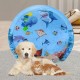 Φ100cm Sensorische Wassermatte Katze,Wassermatte Für Katzen Im Sommer,Wassersensorische Spielmatte,Verdickte 55 Seide Spielwasser-Sensormatte Für Kleine Hunde Und Katzen Φ100cm Sensorische Wassermatte Katze,Wassermatte Für Katzen Im Sommer,Wassersensorische Spielmatte,Verdickte 55 Seide Spielwasser-Sensormatte Für Kleine Hunde Und Katzen