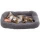 Enjoying Pet Bed 41 x 56 cm Cat Bed for Sleeping Puppies, Non-Slip Base, Square Cushion Enjoying Pet Bed 41 x 56 cm Cat Bed for Sleeping Puppies, Non-Slip Base, Square Cushion