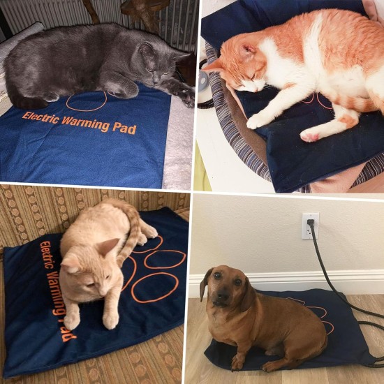 Enjoying Pet Bed 41 x 56 cm Cat Bed for Sleeping Puppies, Non-Slip Base, Square Cushion Enjoying Pet Bed 41 x 56 cm Cat Bed for Sleeping Puppies, Non-Slip Base, Square Cushion