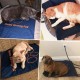 Enjoying Pet Bed 41 x 56 cm Cat Bed for Sleeping Puppies, Non-Slip Base, Square Cushion Enjoying Pet Bed 41 x 56 cm Cat Bed for Sleeping Puppies, Non-Slip Base, Square Cushion