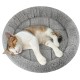Enjoying Pet Bed 41 x 56 cm Cat Bed for Sleeping Puppies, Non-Slip Base, Square Cushion Enjoying Pet Bed 41 x 56 cm Cat Bed for Sleeping Puppies, Non-Slip Base, Square Cushion