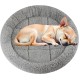 Enjoying Pet Bed 41 x 56 cm Cat Bed for Sleeping Puppies, Non-Slip Base, Square Cushion Enjoying Pet Bed 41 x 56 cm Cat Bed for Sleeping Puppies, Non-Slip Base, Square Cushion