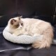 Enjoying Pet Bed 41 x 56 cm Cat Bed for Sleeping Puppies, Non-Slip Base, Square Cushion Enjoying Pet Bed 41 x 56 cm Cat Bed for Sleeping Puppies, Non-Slip Base, Square Cushion