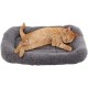 Enjoying Pet Bed 41 x 56 cm Cat Bed for Sleeping Puppies, Non-Slip Base, Square Cushion Enjoying Pet Bed 41 x 56 cm Cat Bed for Sleeping Puppies, Non-Slip Base, Square Cushion