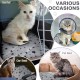 Namalu 4 Cat Blankets, Dog Blanket with Star Pattern, Soft Blanket for Pets, Washable Dog Bed, Non-Slip Blanket for Outdoors, Indoor (Square, 45 x 45 cm) Namalu 4 Cat Blankets, Dog Blanket with Star Pattern, Soft Blanket for Pets, Washable Dog Bed, Non-Slip Blanket for Outdoors, Indoor (Square, 45 x 45 cm)