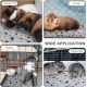 Namalu 4 Cat Blankets, Dog Blanket with Star Pattern, Soft Blanket for Pets, Washable Dog Bed, Non-Slip Blanket for Outdoors, Indoor (Square, 45 x 45 cm) Namalu 4 Cat Blankets, Dog Blanket with Star Pattern, Soft Blanket for Pets, Washable Dog Bed, Non-Slip Blanket for Outdoors, Indoor (Square, 45 x 45 cm)