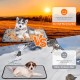 Namalu 4 Cat Blankets, Dog Blanket with Star Pattern, Soft Blanket for Pets, Washable Dog Bed, Non-Slip Blanket for Outdoors, Indoor (Square, 45 x 45 cm) Namalu 4 Cat Blankets, Dog Blanket with Star Pattern, Soft Blanket for Pets, Washable Dog Bed, Non-Slip Blanket for Outdoors, Indoor (Square, 45 x 45 cm)